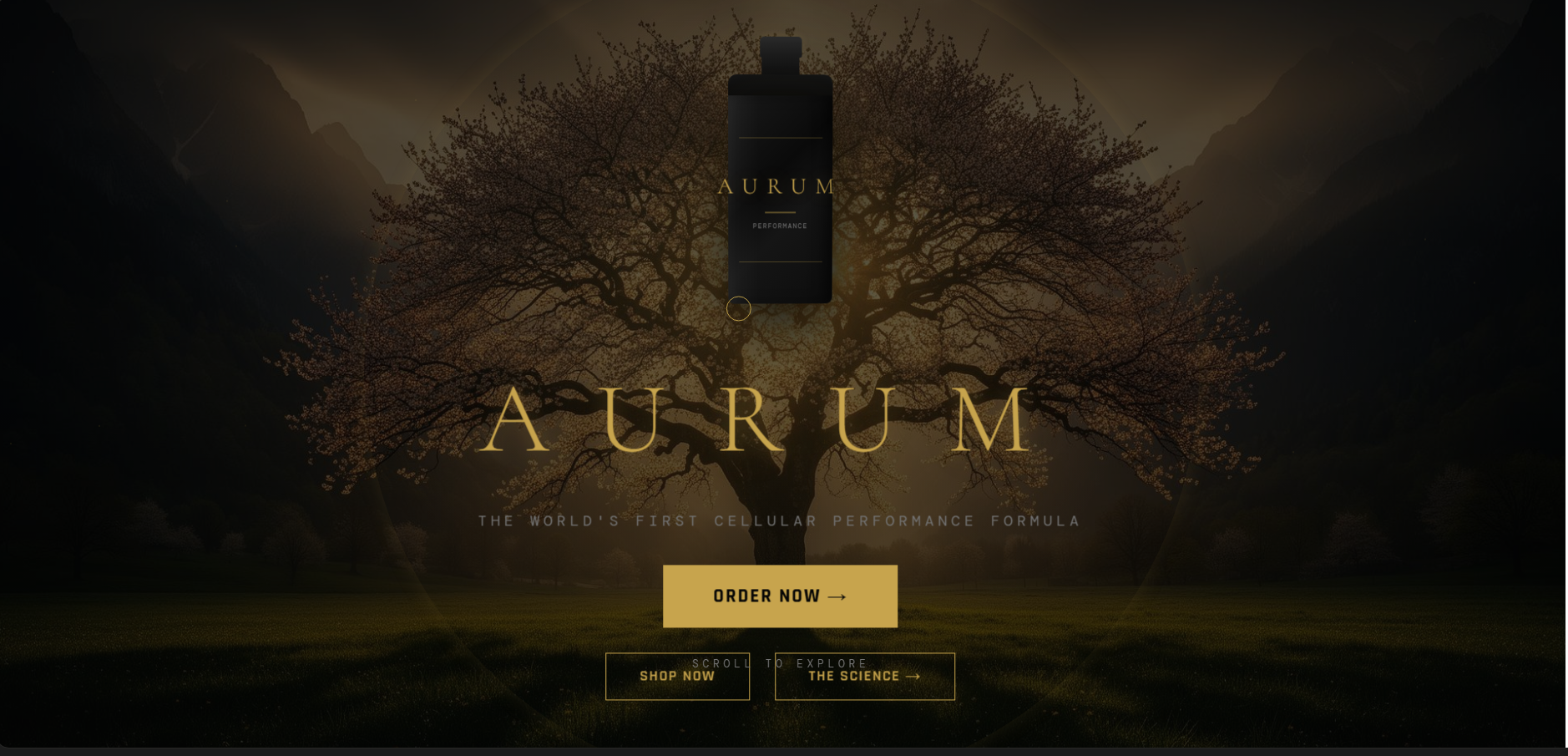 Aurum